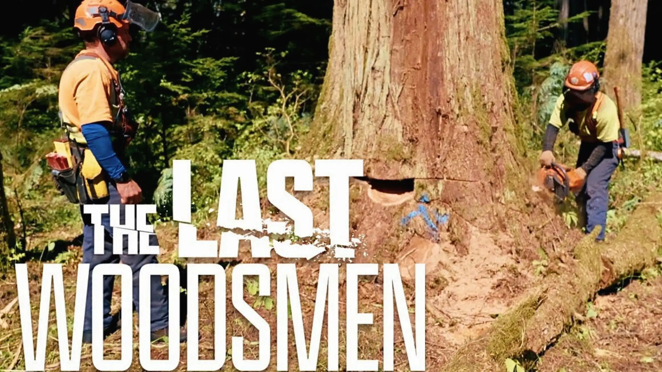 The Last Woodsmen Filming locations