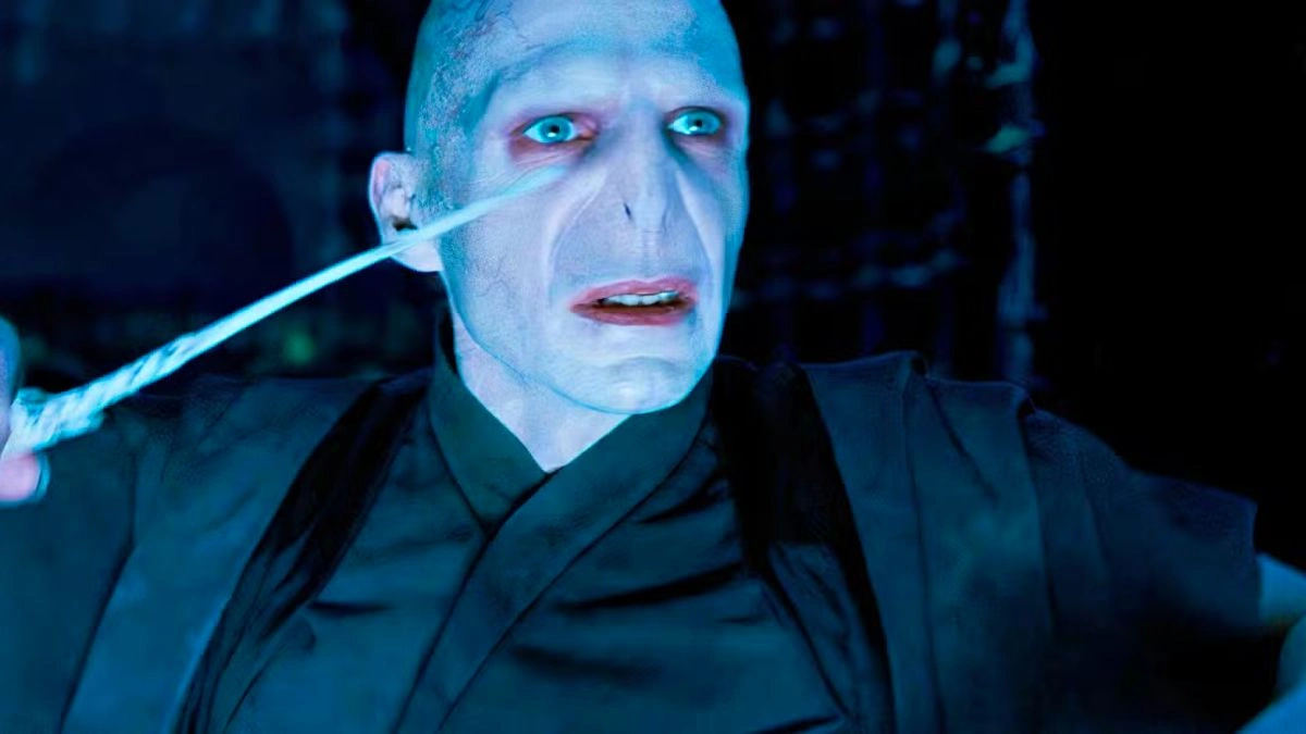 Harry Potter Voldemort Secret
