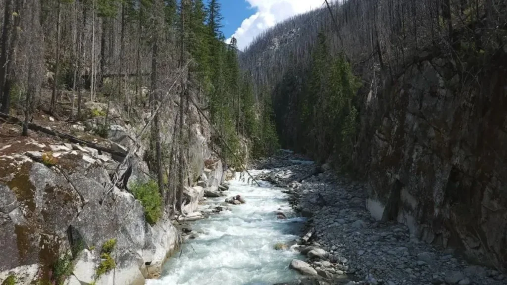 Untamed Movie Locations